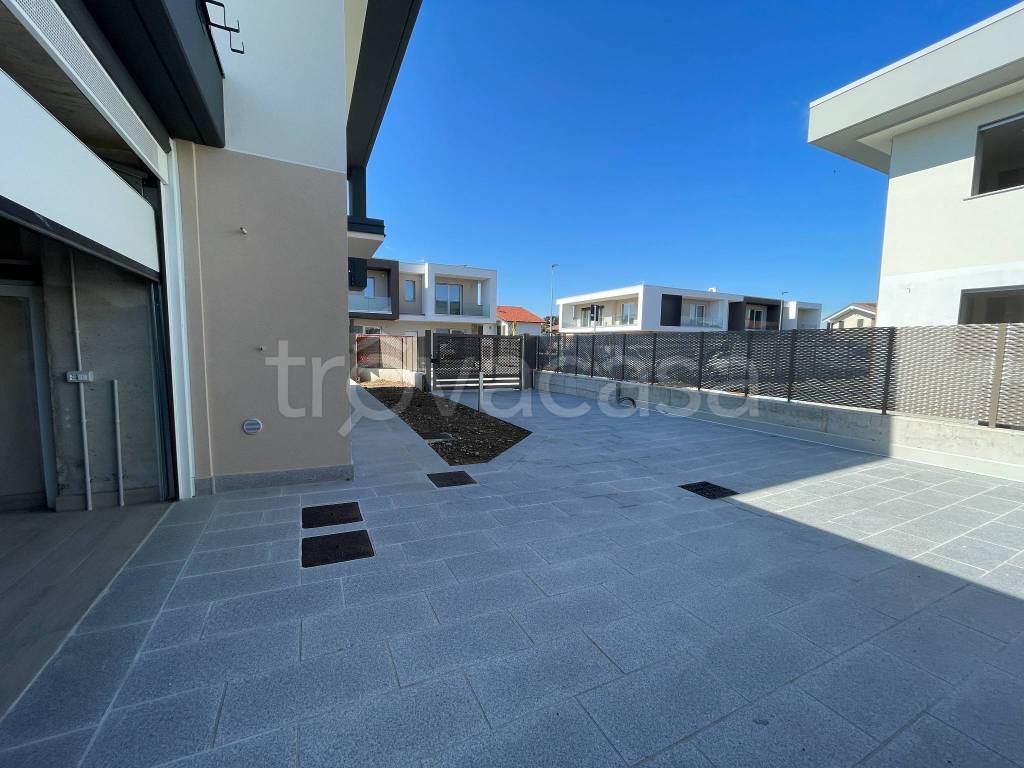 immagine annuncio 9 di 15