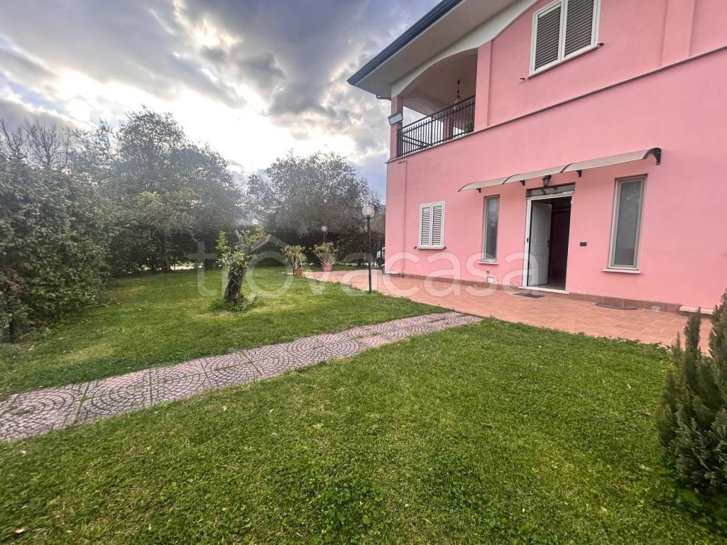 immagine annuncio 12 di 14