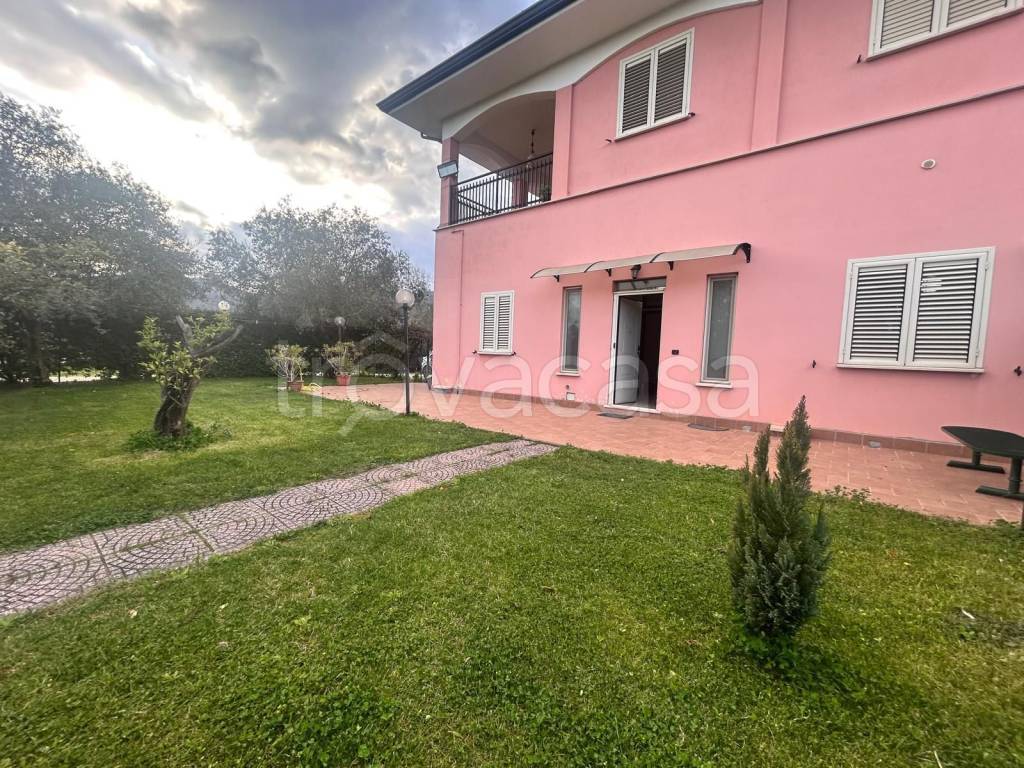 immagine annuncio 13 di 14