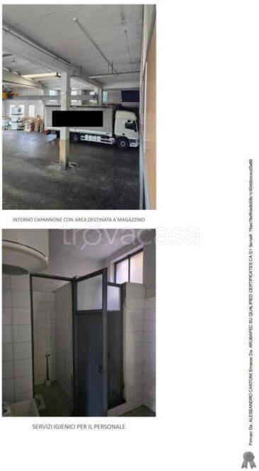 immagine annuncio 2 di 9