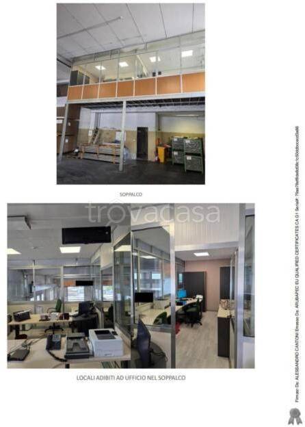 immagine annuncio 4 di 9