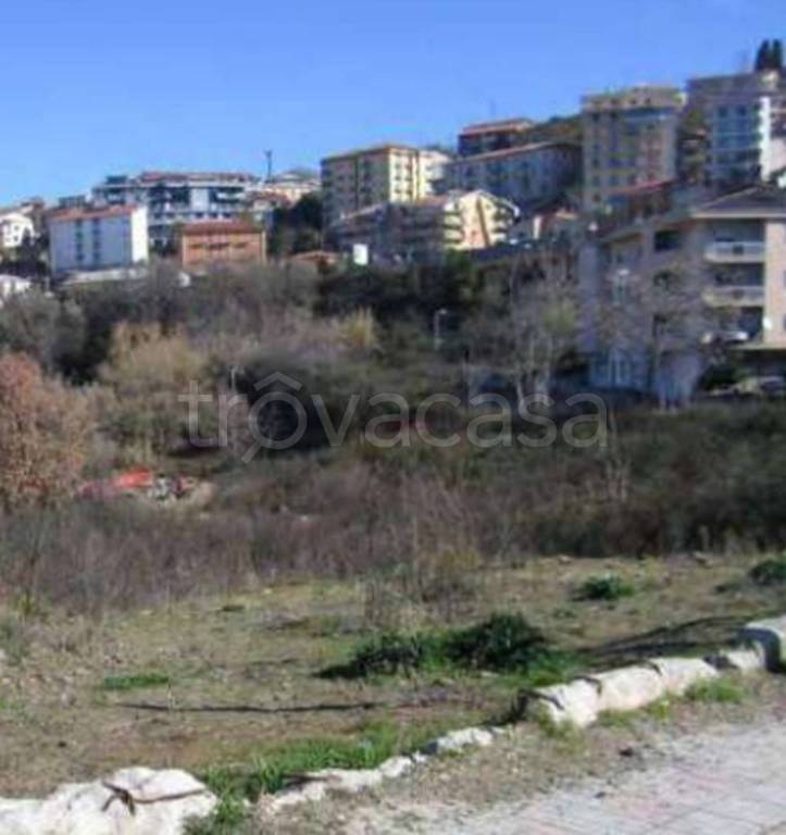 immagine annuncio 7 di 11