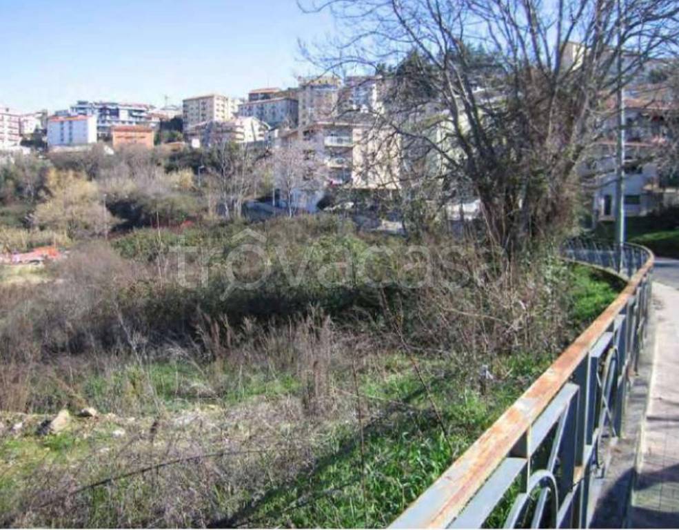 immagine annuncio 8 di 11