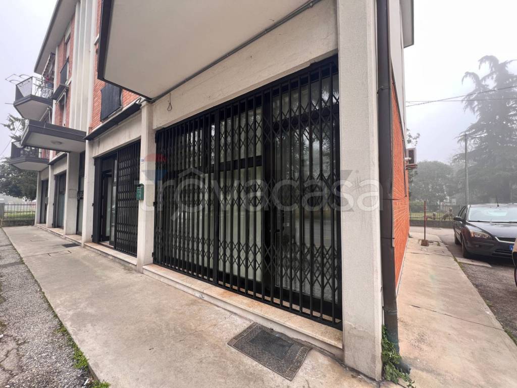 immagine annuncio 3 di 8