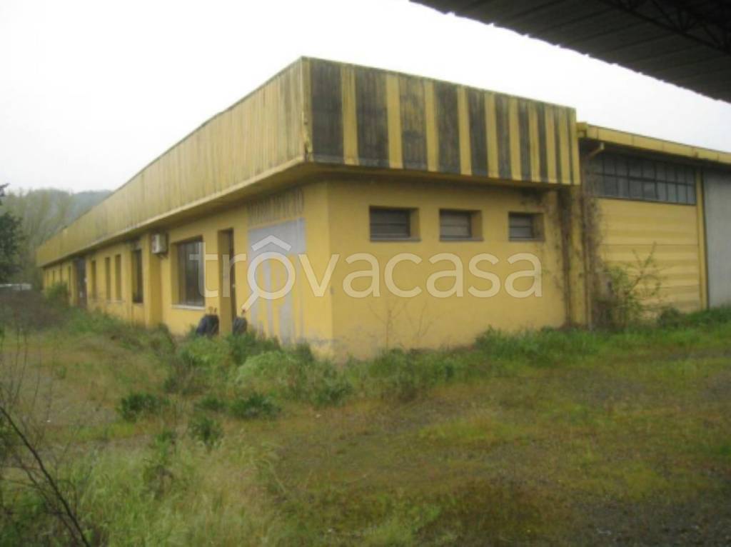 immagine annuncio 4 di 11