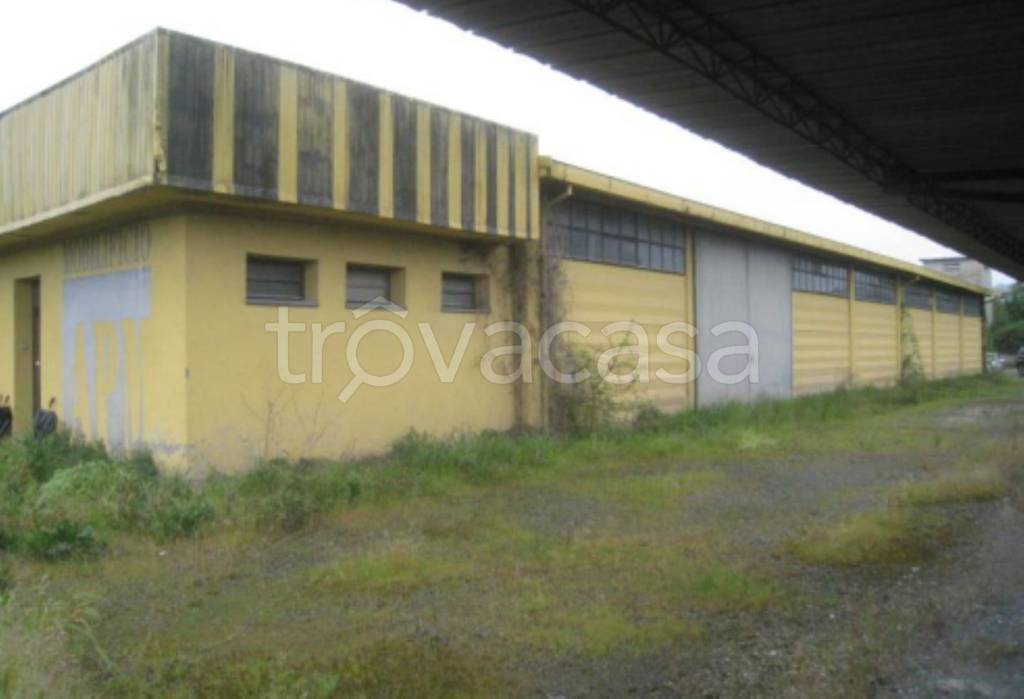 immagine annuncio 5 di 11