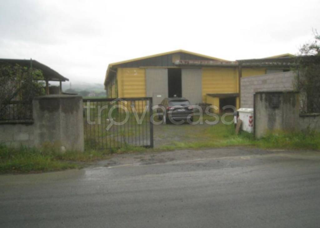 immagine annuncio 8 di 11