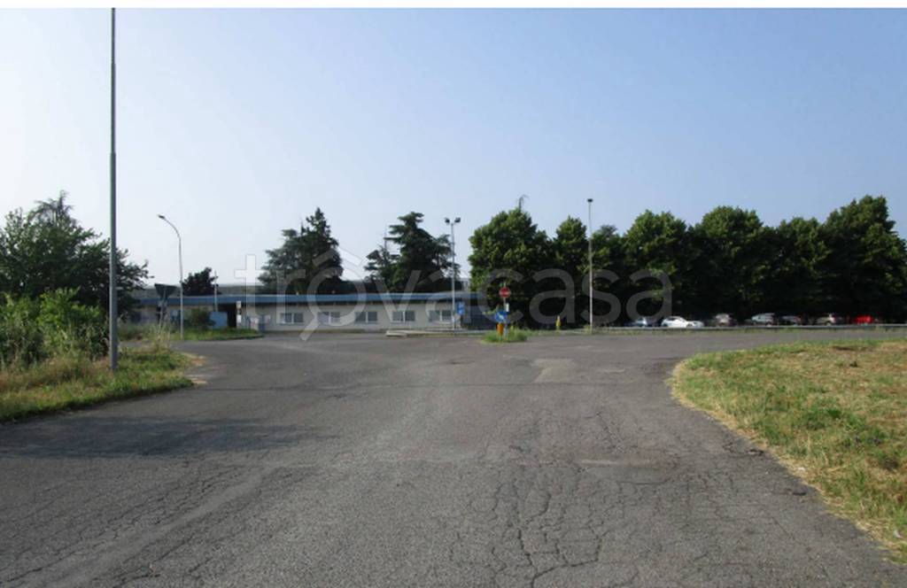 immagine annuncio 10 di 12