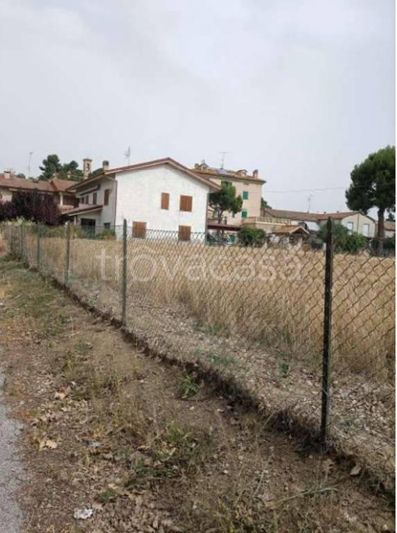 immagine annuncio 4 di 11