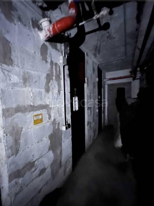 immagine annuncio 5 di 12