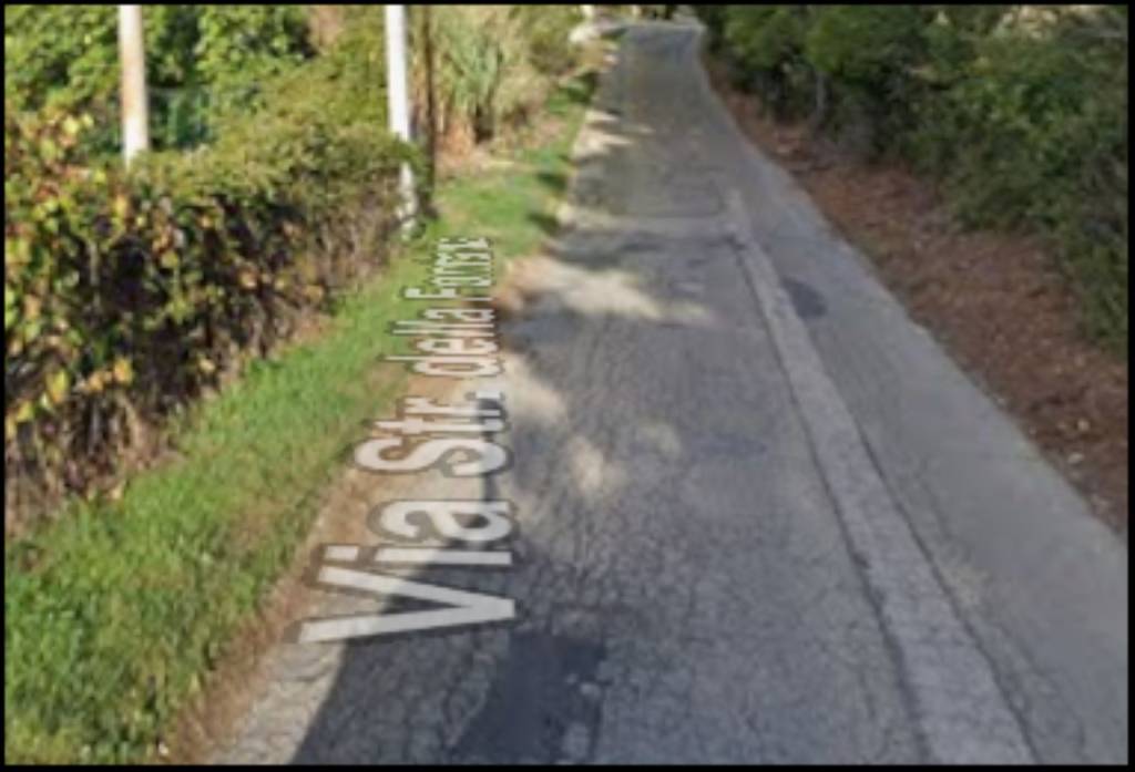 immagine annuncio 9 di 12