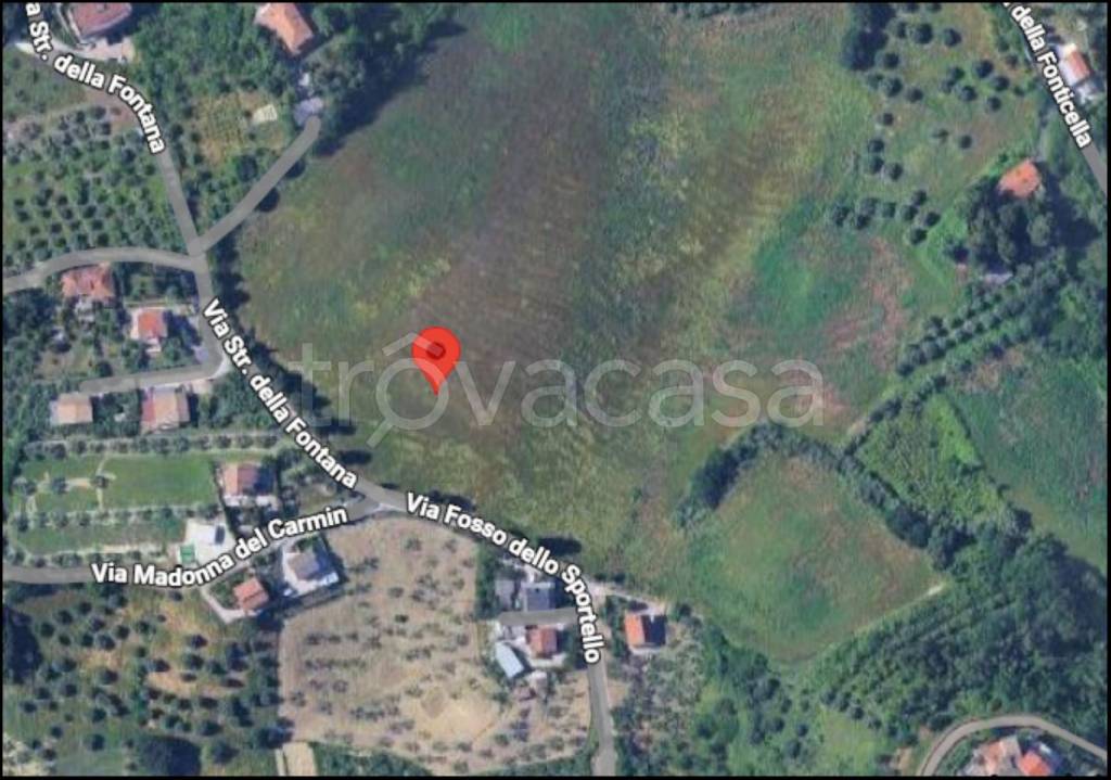 immagine annuncio 11 di 12