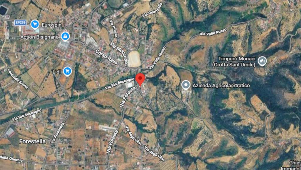 immagine annuncio 5 di 10