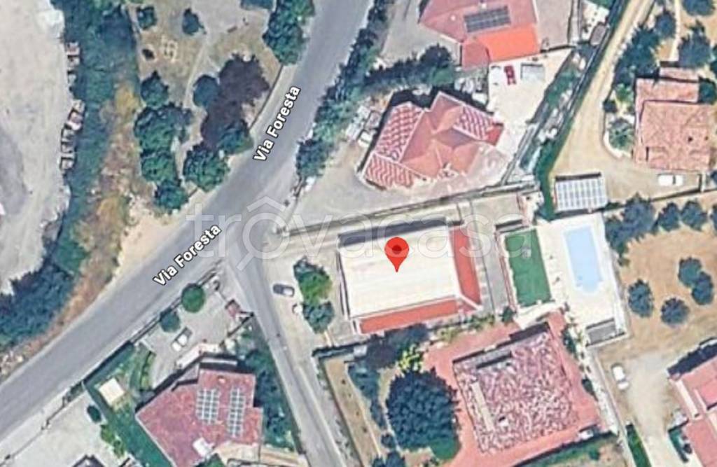 immagine annuncio 1 di 9