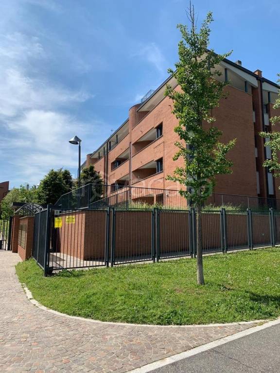 immagine annuncio 2 di 15