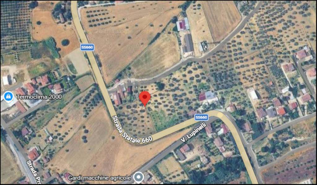 immagine annuncio 10 di 11