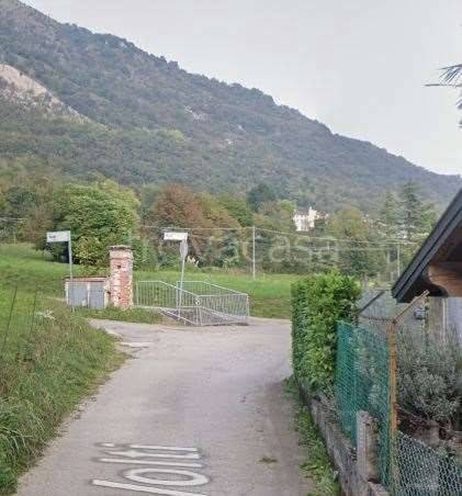 immagine annuncio 3 di 14