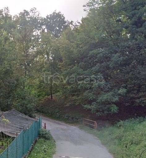 immagine annuncio 4 di 14