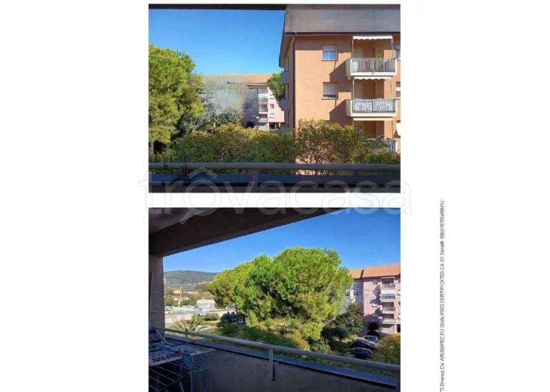 immagine annuncio 3 di 9