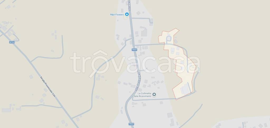 immagine annuncio 10 di 11