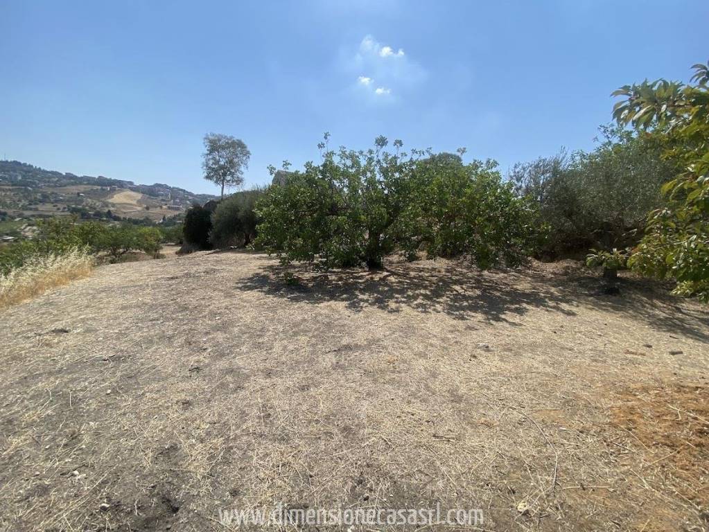 immagine annuncio 7 di 9