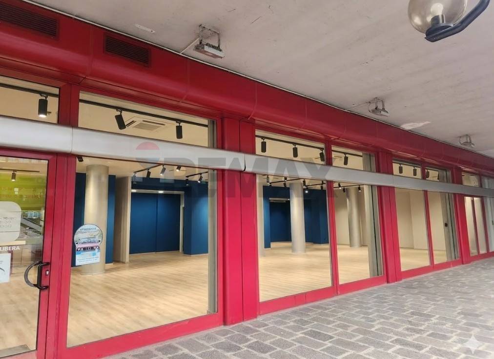 immagine annuncio 4 di 6