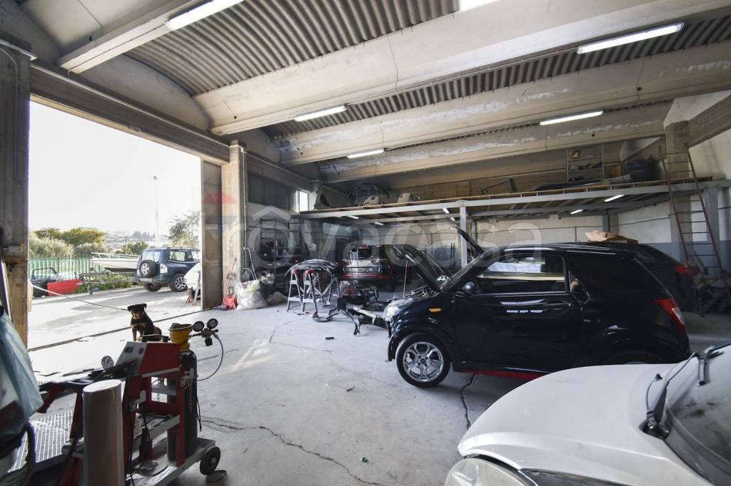 immagine annuncio 2 di 15