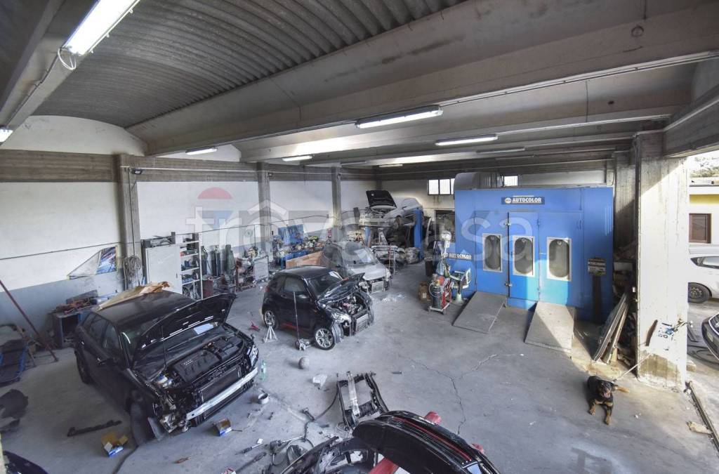 immagine annuncio 10 di 15