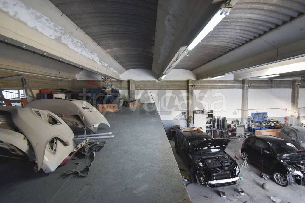 immagine annuncio 11 di 15