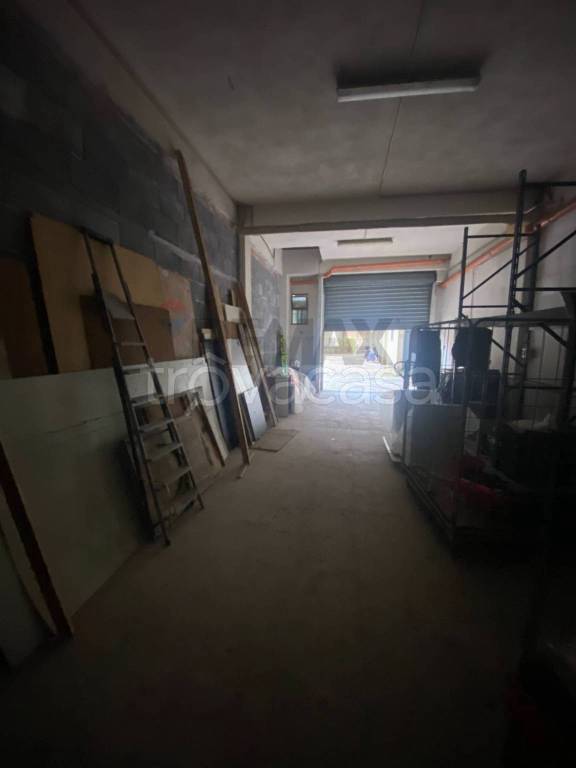 immagine annuncio 9 di 14