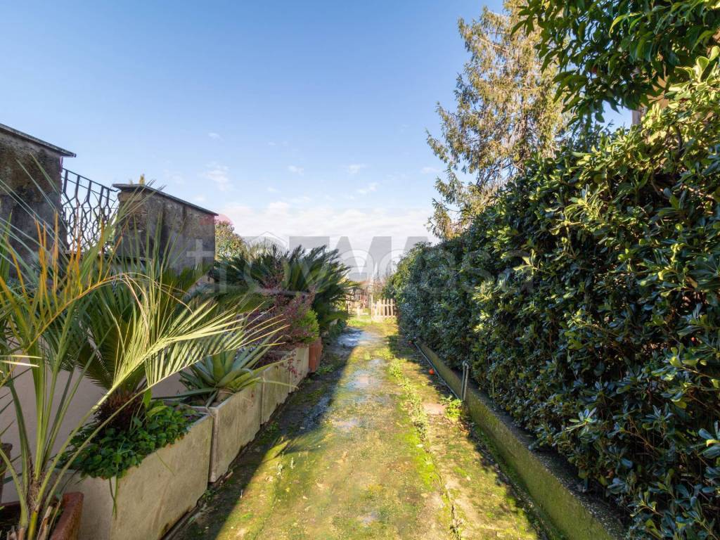 immagine annuncio 6 di 12