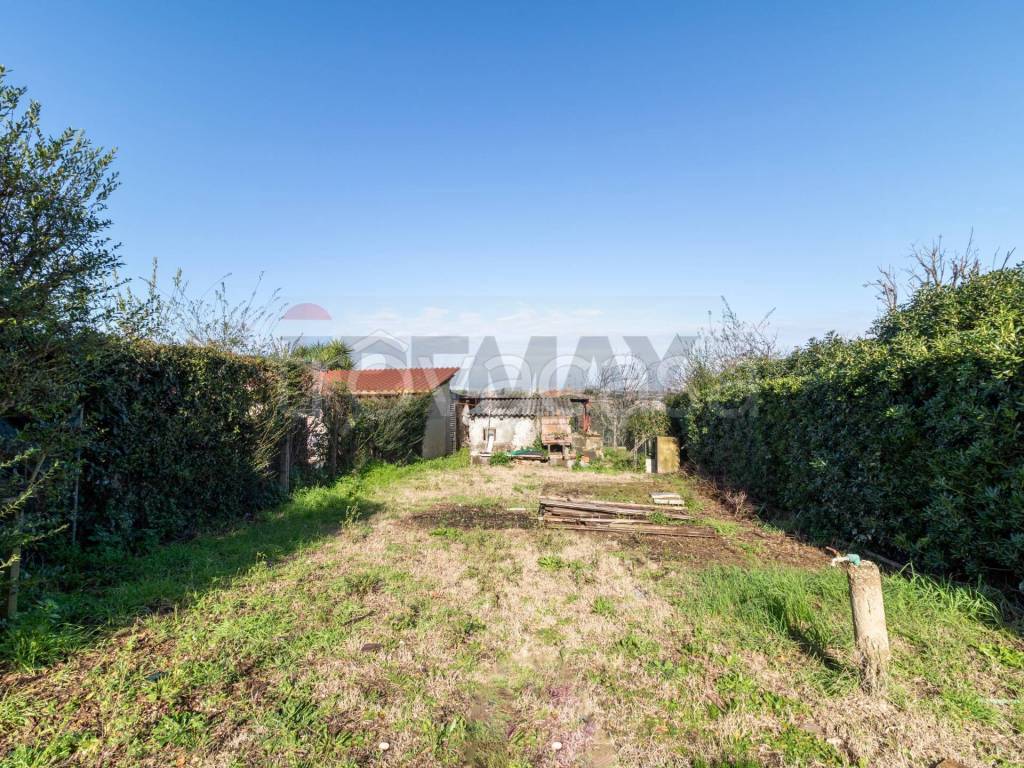 immagine annuncio 7 di 12