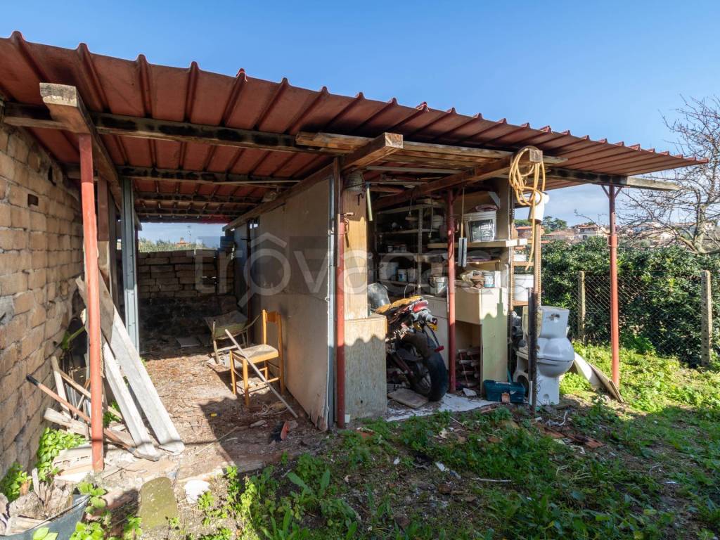 immagine annuncio 10 di 12