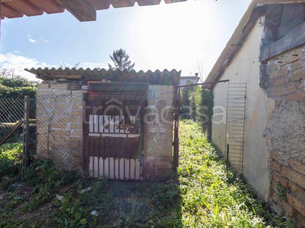 immagine annuncio 11 di 12