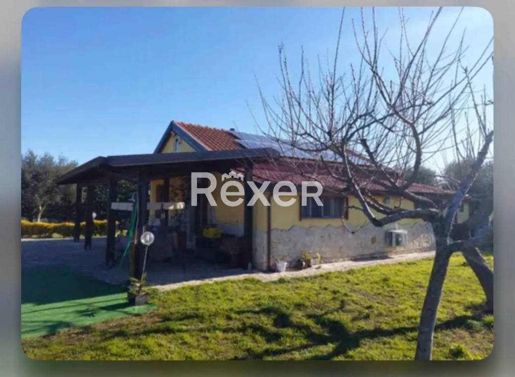 immagine annuncio 3 di 14