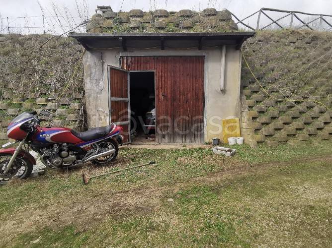 immagine annuncio 14 di 15