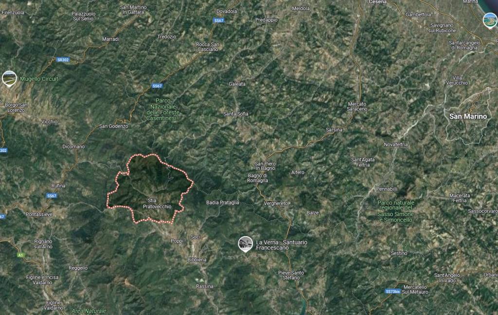 immagine annuncio 11 di 15