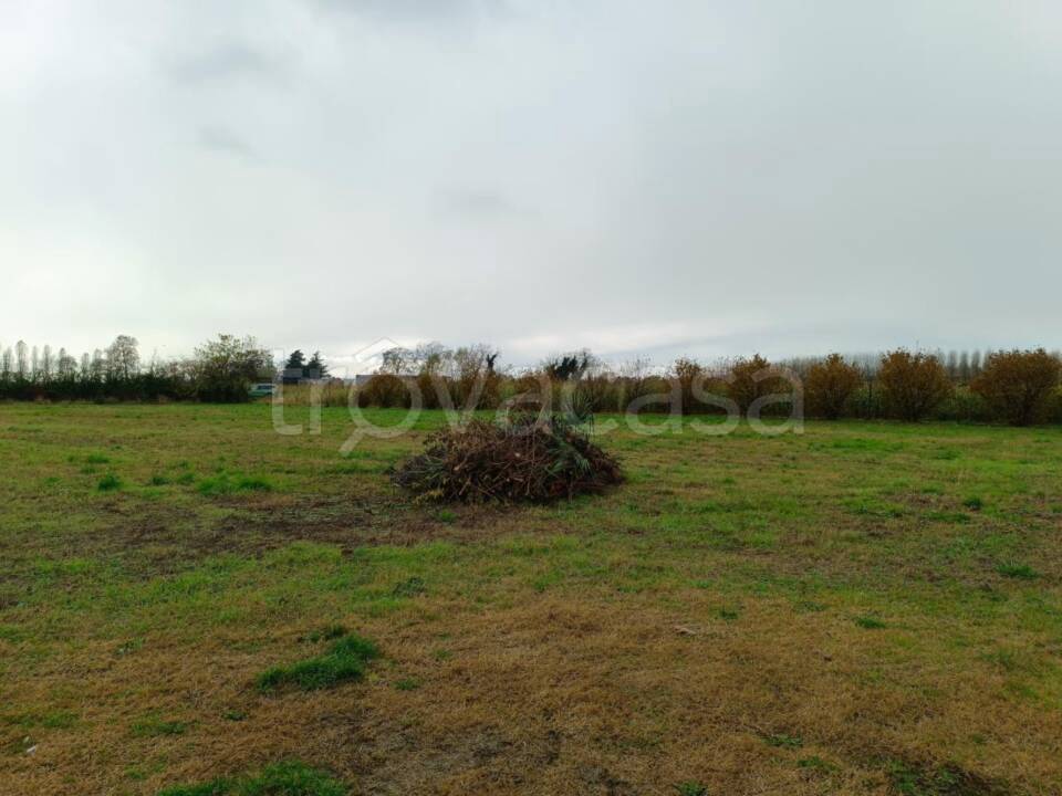 immagine annuncio 9 di 12