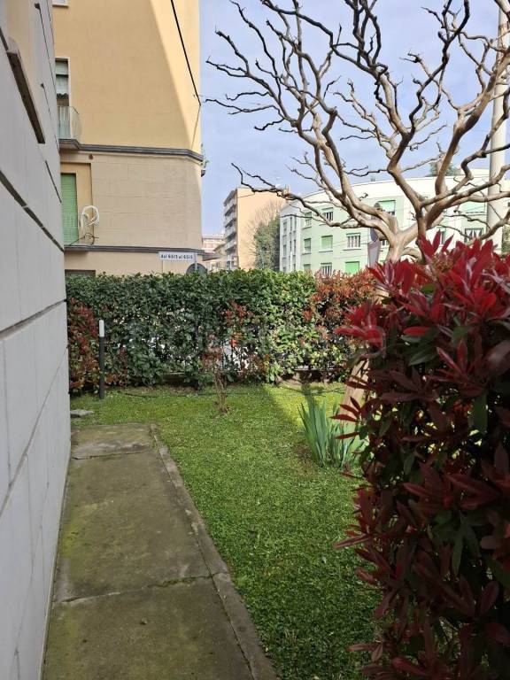 immagine annuncio 3 di 12