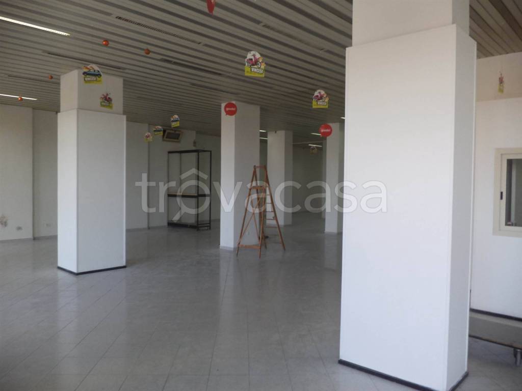 immagine annuncio 4 di 13