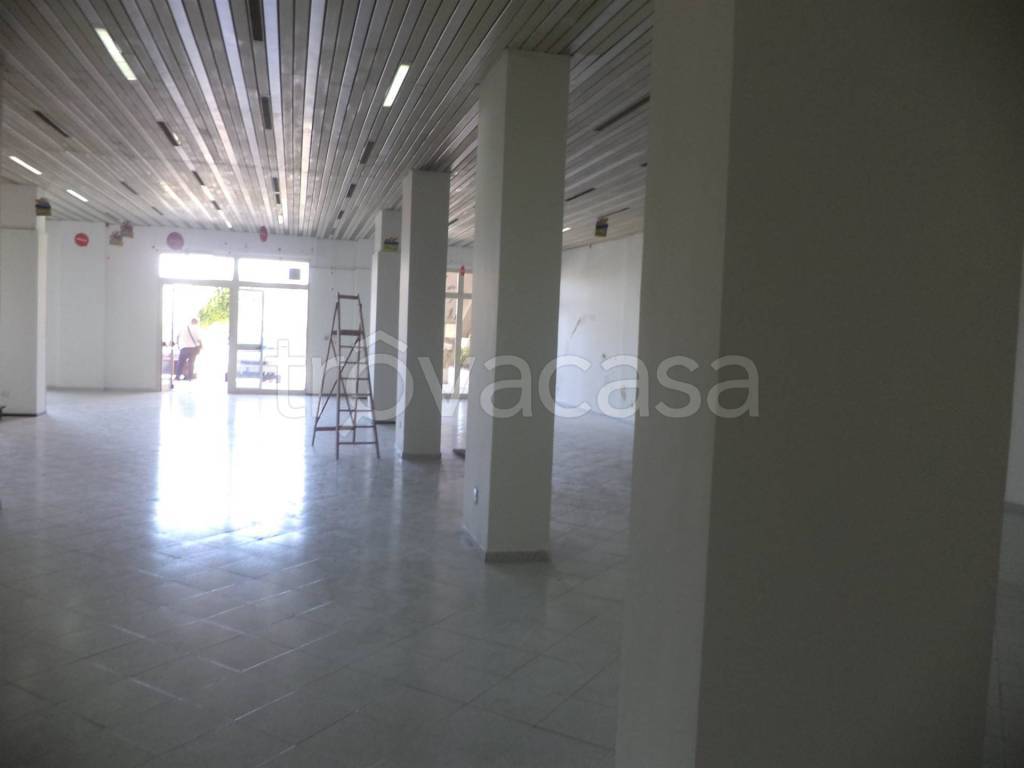 immagine annuncio 7 di 13