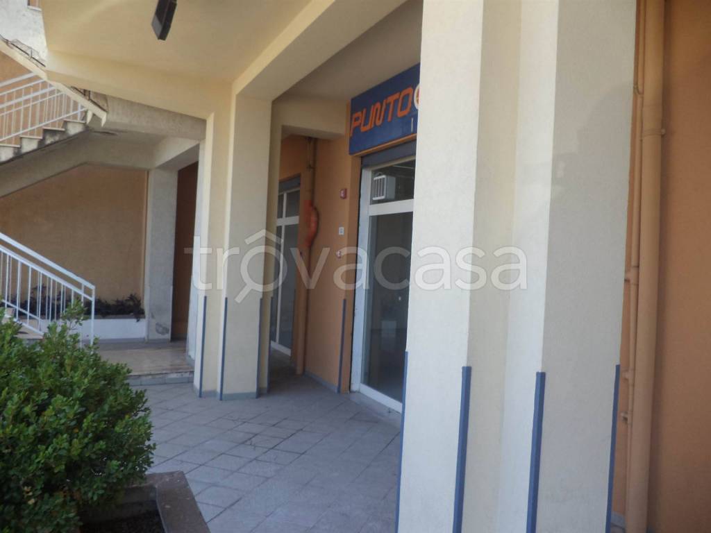 immagine annuncio 9 di 13