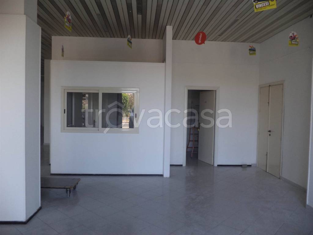 immagine annuncio 12 di 13