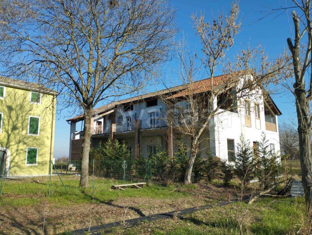 immagine annuncio 3 di 13