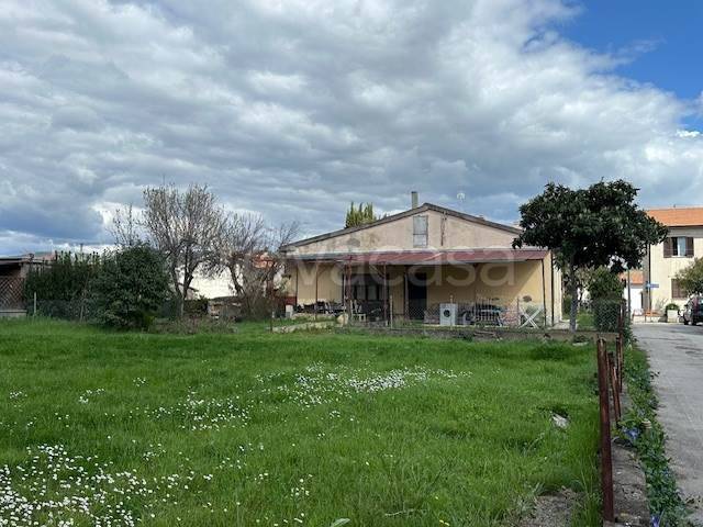 immagine annuncio 3 di 13