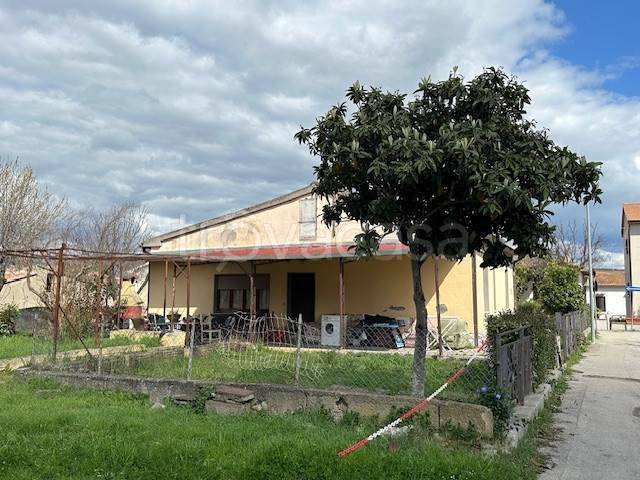 immagine annuncio 4 di 13