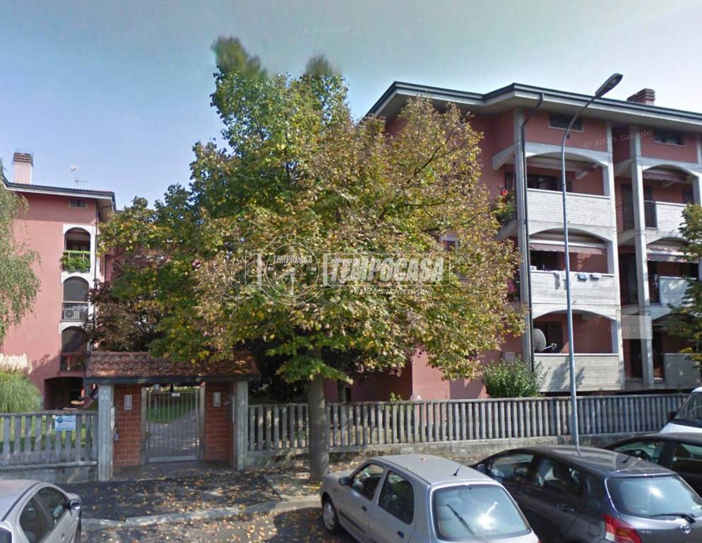 immagine annuncio 3 di 11