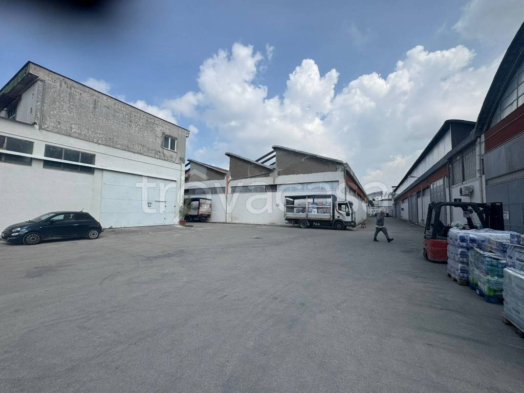 immagine annuncio 3 di 9