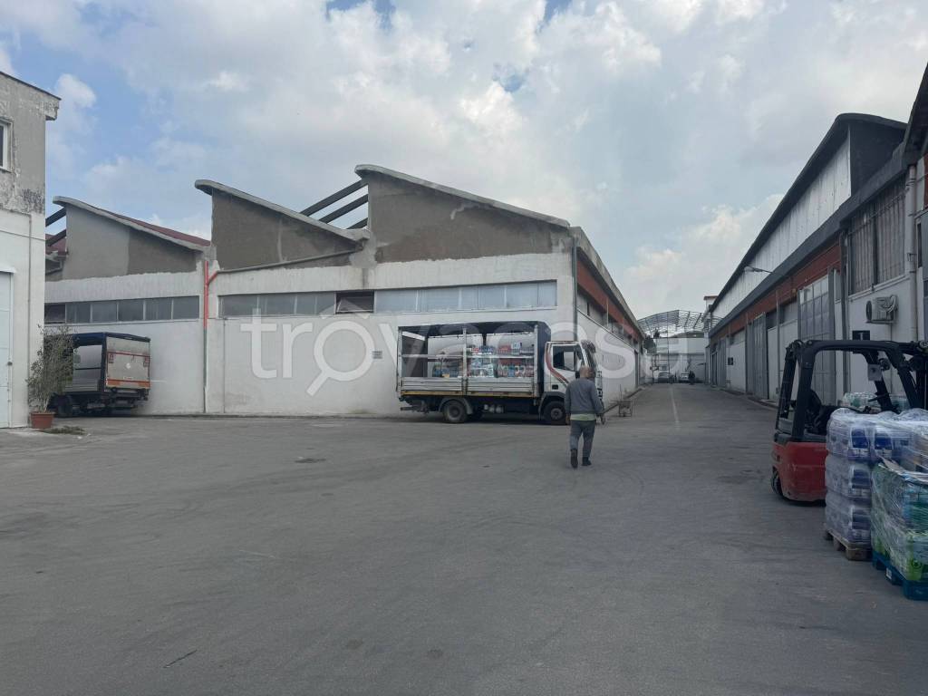 immagine annuncio 4 di 9