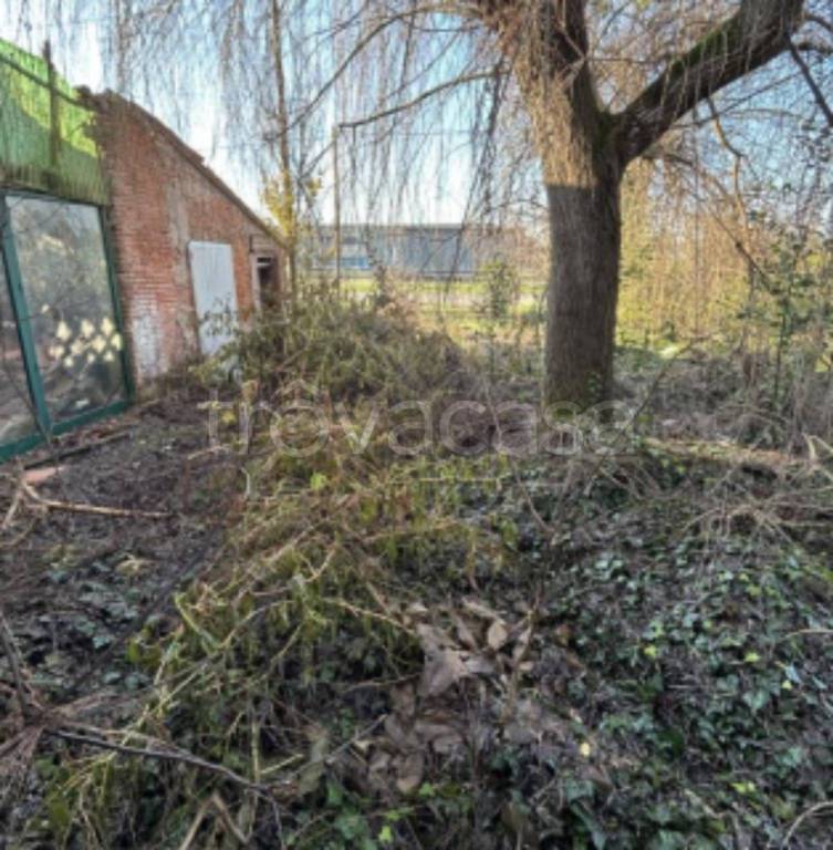 immagine annuncio 3 di 11